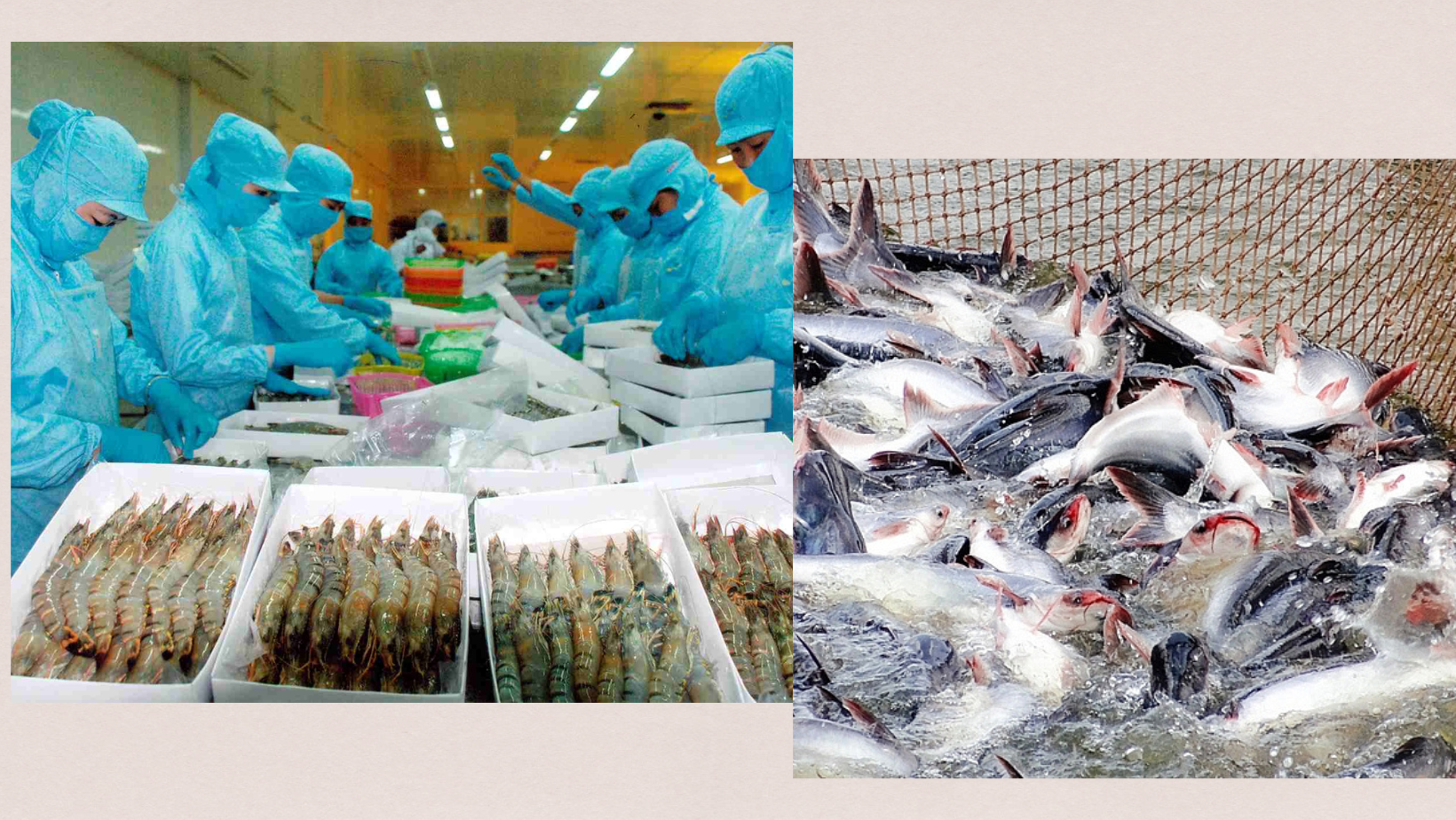 Khát lao động diện rộng hậu Covid-19: Doanh nghiệp đi mời từng người - 2 Khát lao động diện rộng hậu Covid-19: Doanh nghiệp đi mời từng người - 2