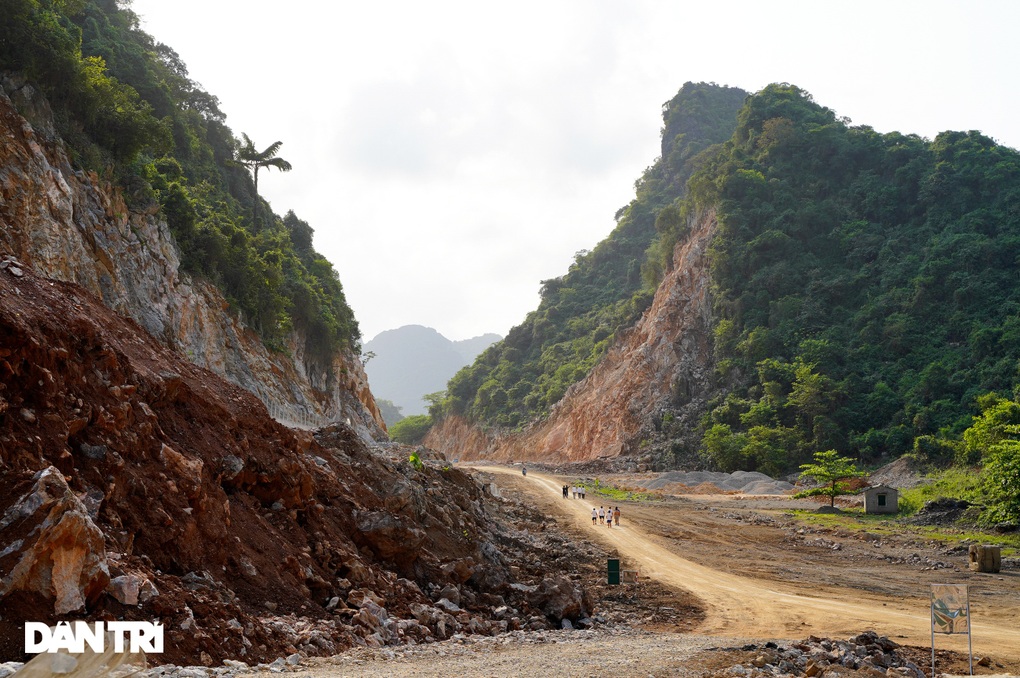 Quảng Ninh: Dự án đường đụng trên 159ha rừng - 1
