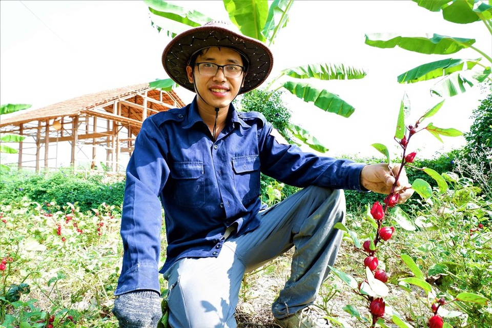 Chàng trai trẻ biến đất khô cằn thành nông trại dược liệu - 1 Chàng trai trẻ biến đất khô cằn thành nông trại dược liệu - 1