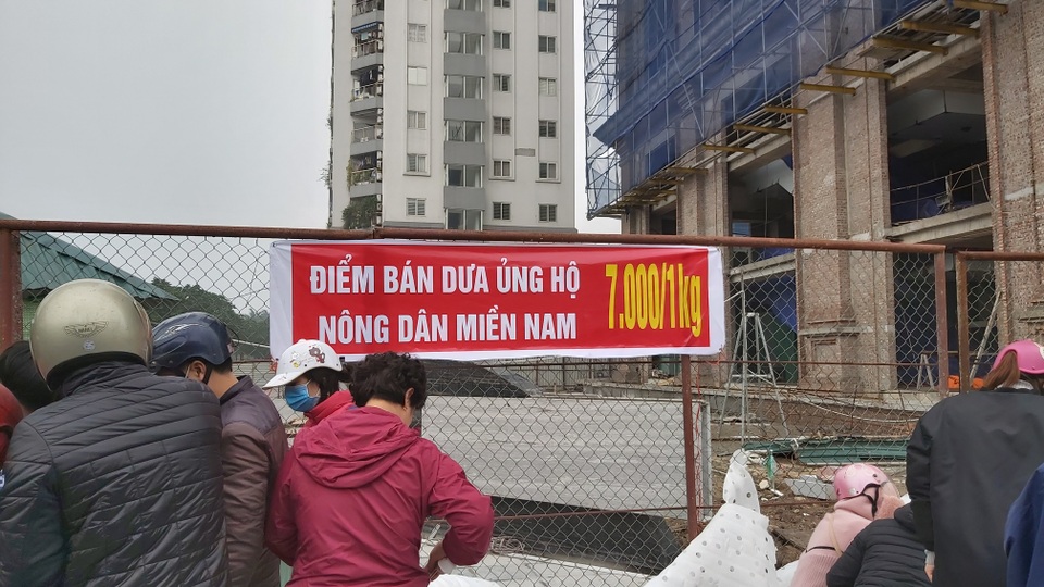 Dân Hà Nội đổ xô mua dưa hấu giải cứu nông dân các tỉnh phía Nam - 9 Dân Hà Nội đổ xô mua dưa hấu giải cứu nông dân các tỉnh phía Nam - 9
