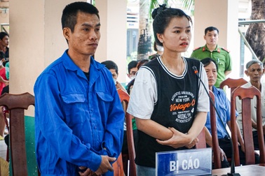 Hai vợ chồng "làm xiếc" trên đèo Hải Vân lĩnh án