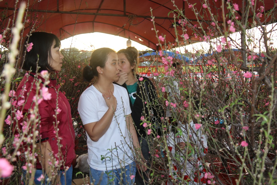 Mùa xuân phương Bắc theo chân hoa đào vào Tây Nguyên - 6 Mùa xuân phương Bắc theo chân hoa đào vào Tây Nguyên - 6