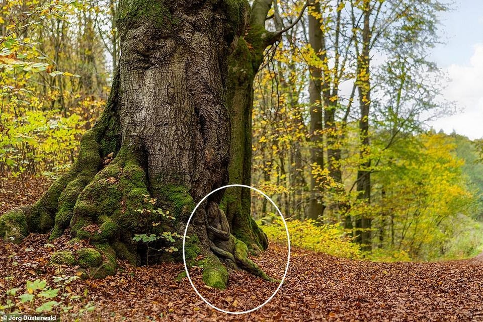 Bạn có nhìn thấy người mẫu khỏa thân trong ảnh này? - 15 Bạn có nhìn thấy người mẫu khỏa thân trong ảnh này? - 15