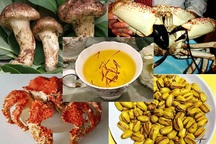 Sơn hào hải vị bậc nhất thế giới: Tiệc tết tiền tỷ của đại gia Việt