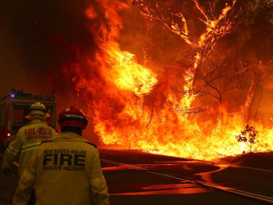 Australia đón trận mưa “vàng” giữa thảm kịch cháy rừng - 12 Australia đón trận mưa “vàng” giữa thảm kịch cháy rừng - 12