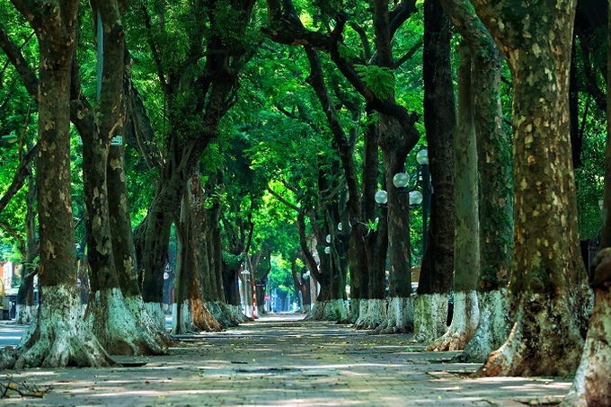 Phố Phan Đình Phùng sau cơn mưa.