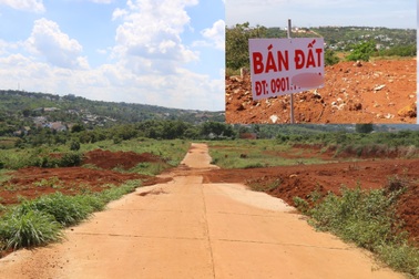 Vì sao không khởi tố vụ gom bán đất nông nghiệp, phá nát quy hoạch?