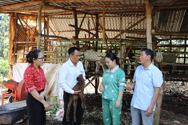 Hỗ trợ sinh kế giúp người dân thoát nghèo bền vững