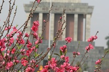 Những ký ức ngày đầu giữ gìn thi hài Bác