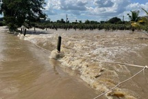 Một cô gái nghi bị lũ cuốn ở Lâm Đồng