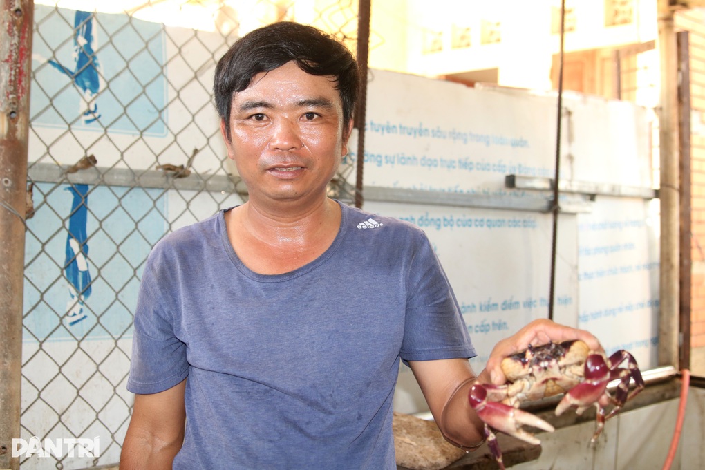 Đưa loài cấm đánh bắt vào bể nuôi, dân đảo thu trăm triệu đồng mỗi năm - 3 Đưa loài cấm đánh bắt vào bể nuôi, dân đảo thu trăm triệu đồng mỗi năm - 3
