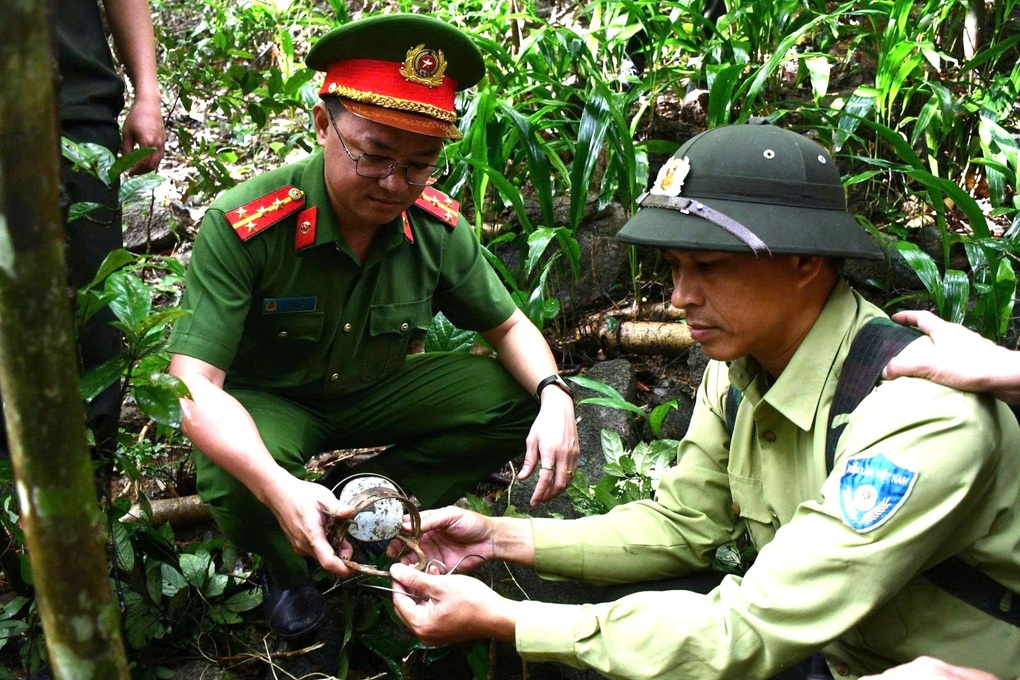 Phát hiện, tháo gỡ 4 bẫy săn trái phép ở bán đảo Sơn Trà - 1 Phát hiện, tháo gỡ 4 bẫy săn trái phép ở bán đảo Sơn Trà - 1
