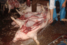 “Đột kích” lò mổ lớn nhất Hà Nội