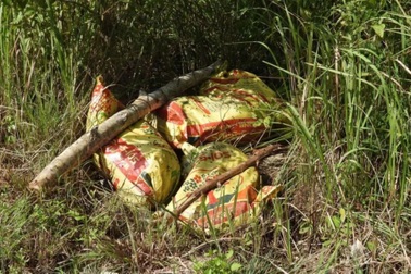 Nhiều xác lợn chết bị vứt tại khu bảo tồn thiên nhiên