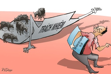 “Lời khẩn cầu” của đàn bò tót:  Các tiến sĩ ơi, xin thôi đừng nghiên cứu!