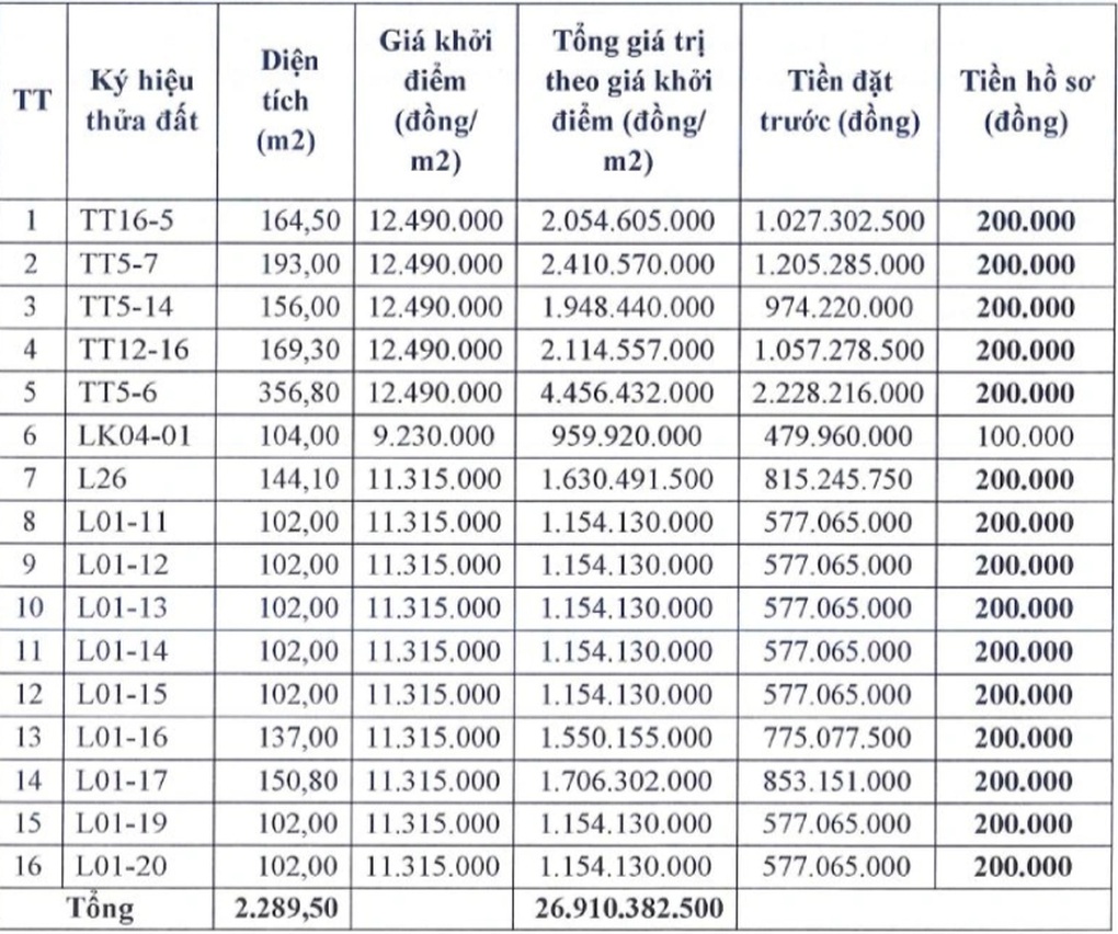 Sắp đấu giá đất ở ngoại thành Hà Nội, khởi điểm chỉ hơn 9 triệu đồng/m2 - 1