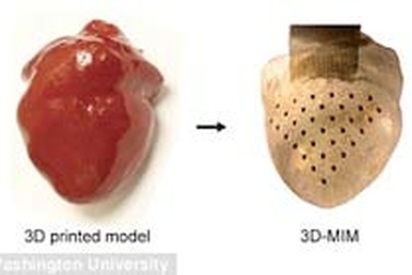 “Điểm danh” những phát kiến mới nhất trong y học