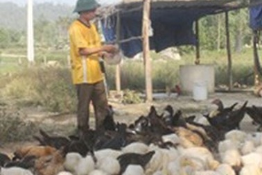 Bí thư Đoàn xã là tỷ phú