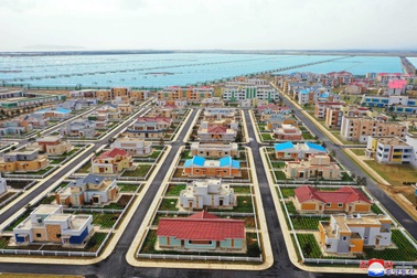 Nông trường nhà kính trên nền căn cứ quân sự của Triều Tiên