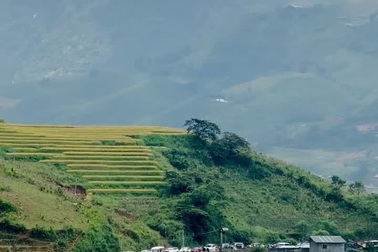 Xe ô tô nối đuôi nhau thành hàng dài ở bản Tả Van, Sapa