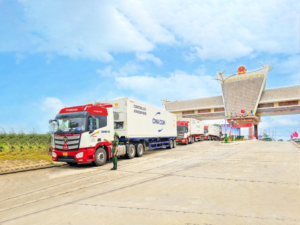Thilogi đẩy mạnh dịch vụ xuất khẩu sầu riêng chính ngạch qua cảng Chu Lai - 3 Thilogi đẩy mạnh dịch vụ xuất khẩu sầu riêng chính ngạch qua cảng Chu Lai - 3