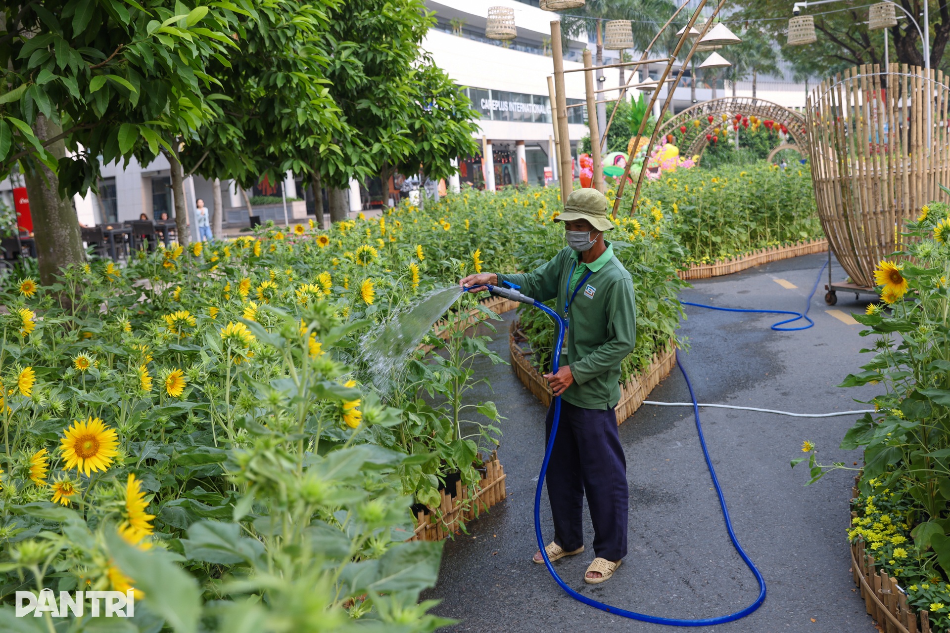 Ngắm linh vật kiểu xếp giấy ở đường hoa xuân khu nhà giàu Phú Mỹ Hưng - 6 Ngắm linh vật kiểu xếp giấy ở đường hoa xuân khu nhà giàu Phú Mỹ Hưng - 6