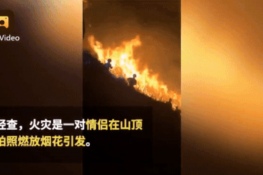 Đốt pháo hoa kỷ niệm tình yêu, cặp đôi thiêu rụi cả cánh rừng