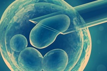 Phạt một công ty giới thiệu phương pháp chọn giới tính thai nhi