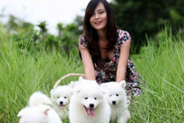 Chăm sóc thú cưng - Nghề mới của bạn trẻ yêu động vật