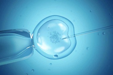 Chế độ ăn giúp thụ tinh ống nghiệm thành công