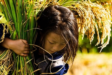 Nhiếp ảnh gia gắn bó với Việt Nam chụp ảnh chân dung đẹp nhất