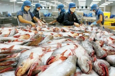 Nợ chồng chất, "đại gia" thuỷ sản Hùng Vương phải "bán con" cho VinEco