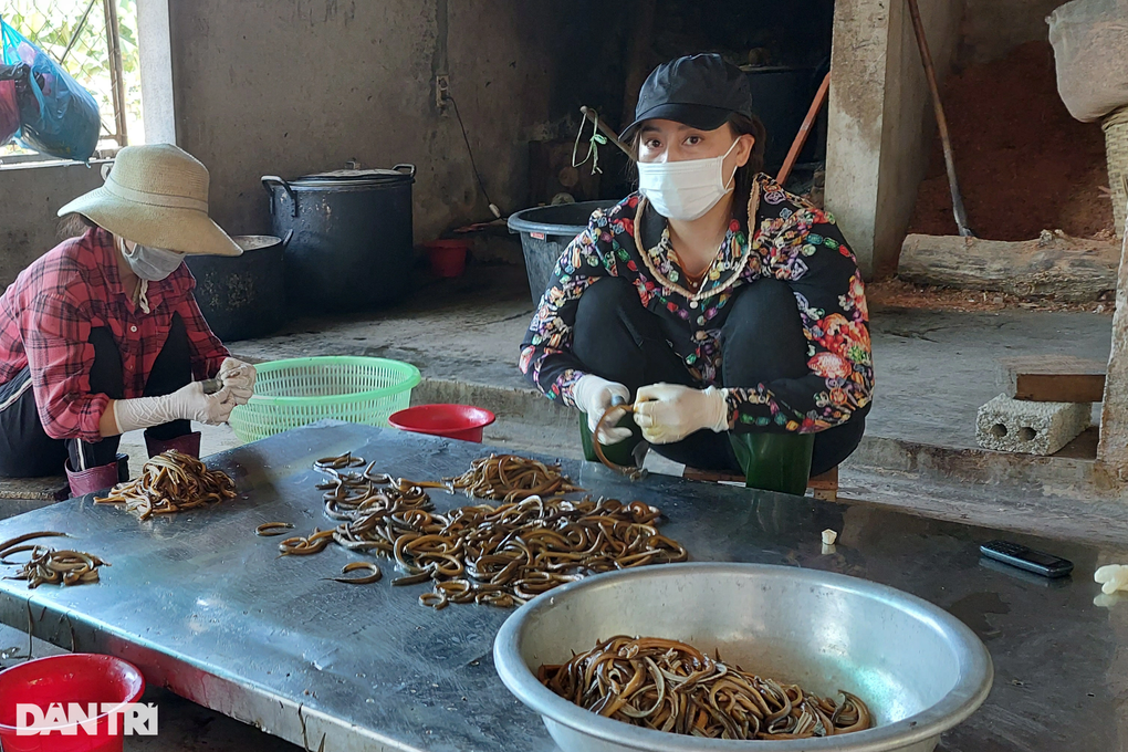 Cả ngày vã mồ hôi tuốt lươn, tiền công bằng 3 tô phở - 6 Cả ngày vã mồ hôi tuốt lươn, tiền công bằng 3 tô phở - 6