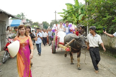 Chú rể Thanh Hóa dùng xe trâu đón dâu trong ngày cưới gây “sốt” mạng xã hội