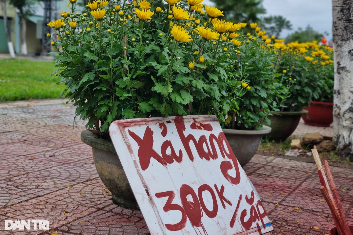 Chợ hoa 29 Tết đông nghịt người, người bán đồng loạt xả hàng - 9 Chợ hoa 29 Tết đông nghịt người, người bán đồng loạt xả hàng - 9