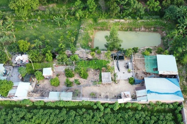 Diễn biến mới vụ công ty trồng rau theo chuẩn VietGAP “núp bóng” nuôi gà