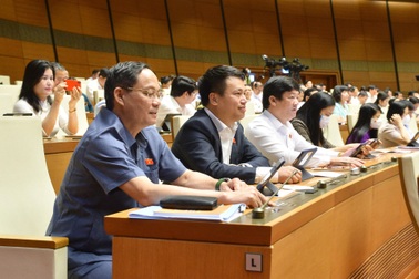 Khánh Hòa được tự quyết chuyển mục đích đất trồng lúa dưới 500 ha