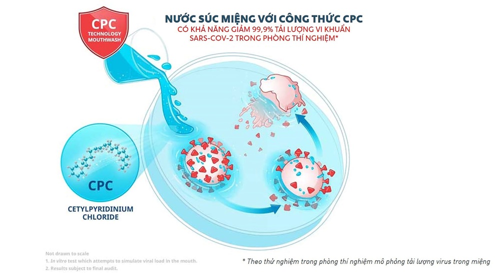 Tìm hiểu thêm biện pháp bảo vệ sức khỏe hiệu quả trong mùa dịch - 4 Tìm hiểu thêm biện pháp bảo vệ sức khỏe hiệu quả trong mùa dịch - 4
