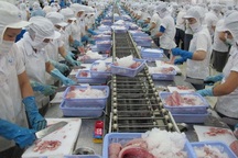 Xuất khẩu thủy sản 6 tháng đầu năm đạt 4 tỷ USD