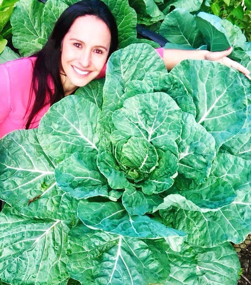 Bán ô tô, nghỉ việc, cô gái tốt nghiệp ngành báo chí sống như nông dân - 6