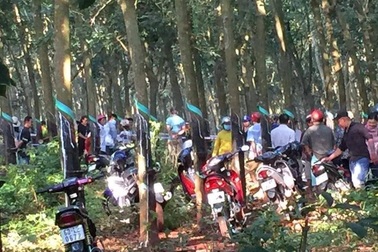 Phát hiện thi thể thiếu nữ nghi bị sát hại trong vườn cao su