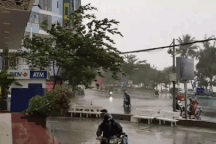 Hình ảnh bão số 12 "thổi xiêu vẹo" người đi đường, quật đổ cây xanh