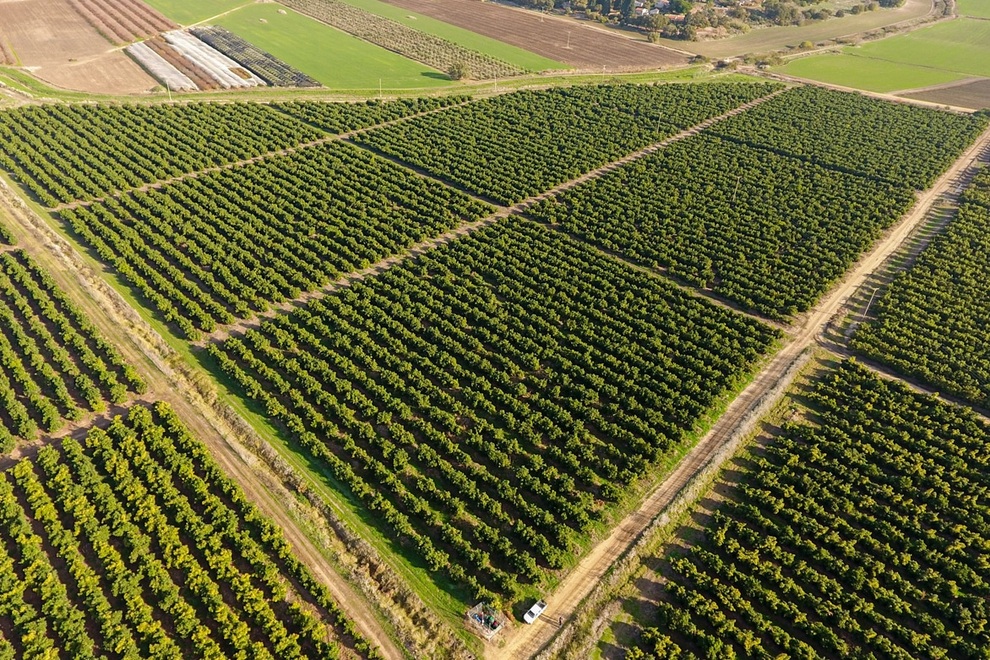 Bất ngờ thiết bị thông minh, đo căng thẳng của cây trồng để tưới nước - 3