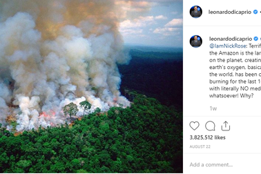 Sống “xanh” đúng nghĩa như sao hạng A hoàn toàn không khó