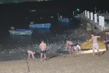 Cá nhảy lên khỏi mặt nước ở Trung Quốc