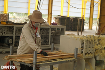 6 tháng đầu năm, hơn 30.000 lao động được giải quyết việc làm