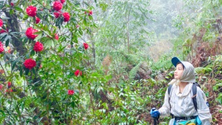 Ngủ đêm trong rừng, dậy từ 3h để "săn" bình minh ở độ cao gần 3.000m - 10