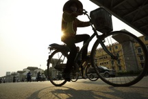 Hà Nội: Nắng rát mặt trên tuyến phố "khuyết" cây xanh