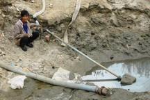 Thủy điện cắt nước, nông dân điêu đứng vì lúa chờ chết