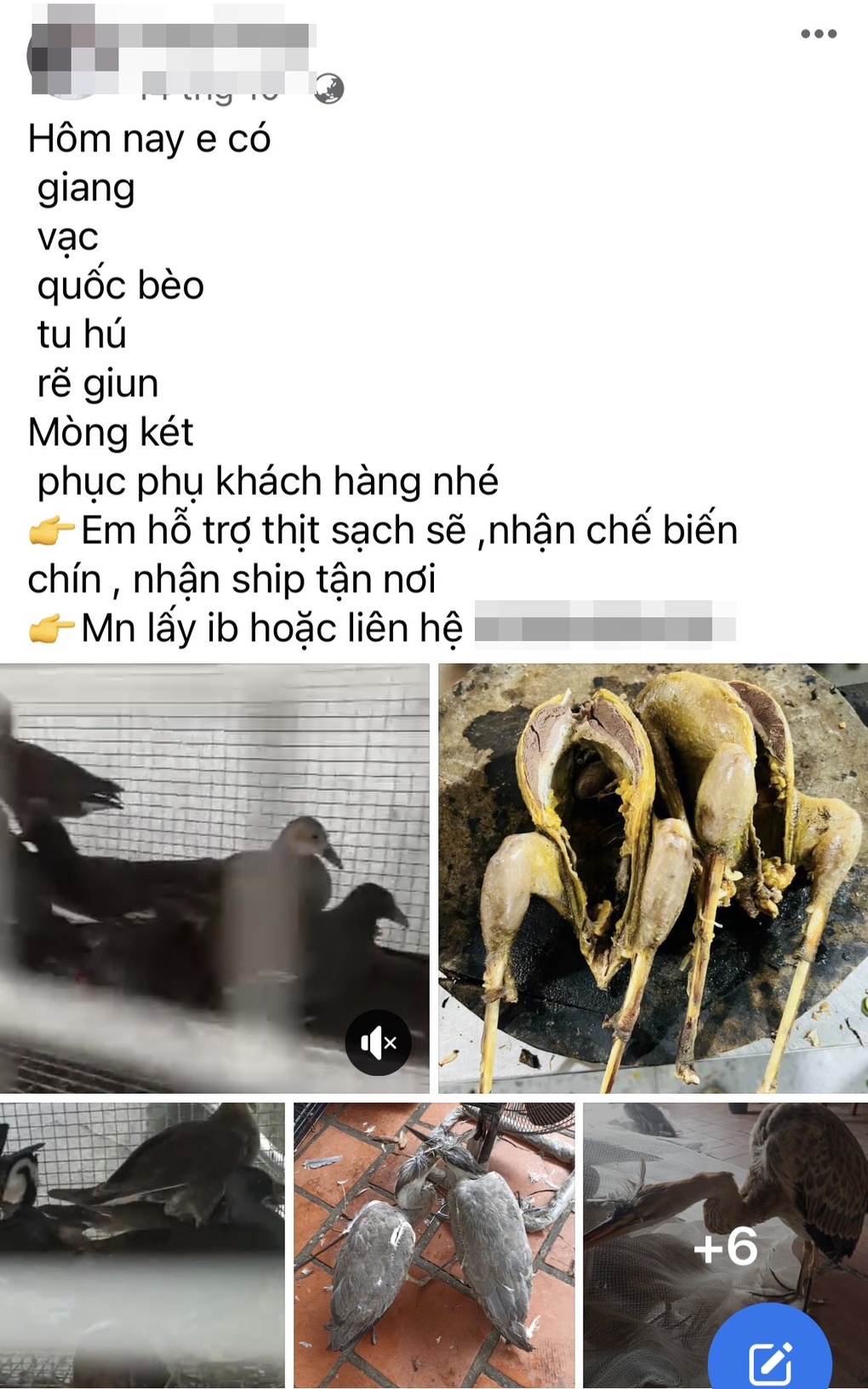 Đường đi của chim trời: Sôi động từ chợ mạng đến bàn nhậu giữa Thủ đô - 1 Đường đi của chim trời: Sôi động từ chợ mạng đến bàn nhậu giữa Thủ đô - 1